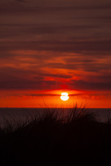 Sunset in Holland with dune grass in the foreground