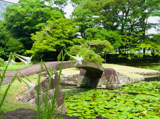 bridge in japanese garden
