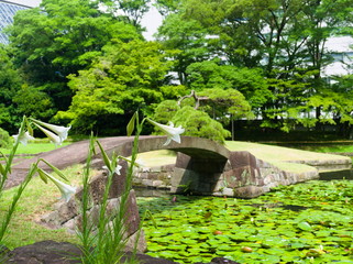 Fototapeta premium bridge in japanese garden