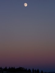 Obraz premium Atardecer y la luna