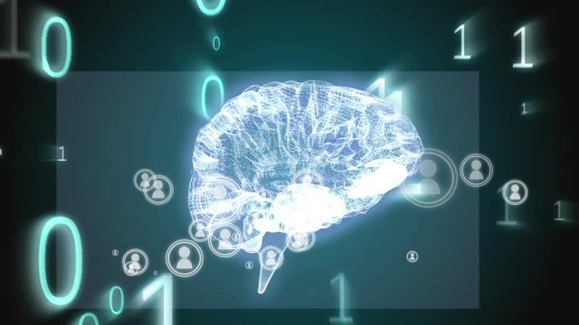 Digital brain and the binary system