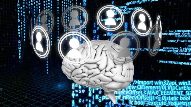 The brain of the digital networks