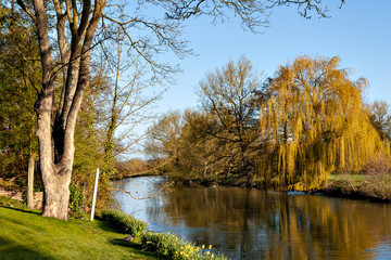 View along a stream in England