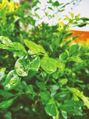 Processed with VSCO with av8 preset