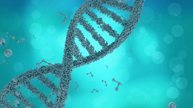 DNA double helix and molecule models