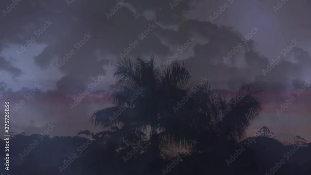 Poster silhouette of trees and the sky with dark clouds and lightning