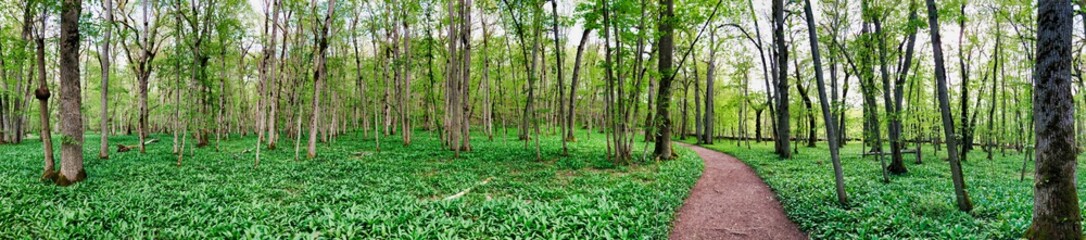 Munk Meadows