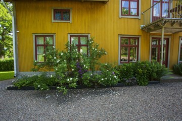 Fototapeta na wymiar Beautiful view of frontsize of yellow wooden house whith flowers under window. Country style. Sweden. Europe.