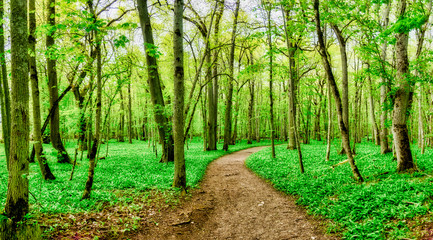 Munk Meadows