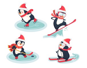 active penguins in winter concept
