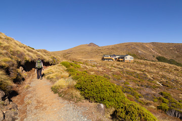 Woman hiker on Kepler Track pathway walking to Luxmore Hut. Panoramic great walk in South Island in New Zealand.