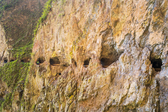 Windows of the Guimar