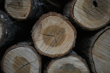 Naklejka premium log wood pile