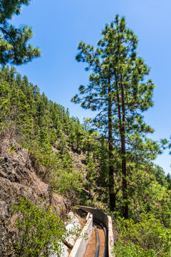 Windows of the Guimar