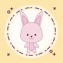 cute rabbit animal with frame circular