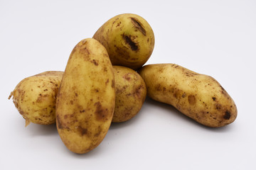 isolated potato 