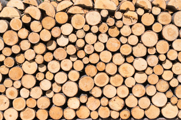 Pile of Cut Firewood