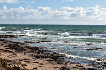 View of coast in South Africa