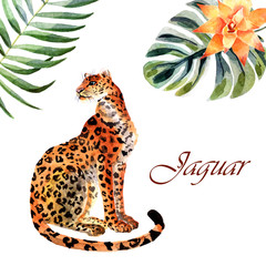 Watercolor jaguar isolated on a white background © Елизавета Порошина