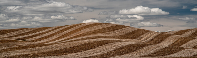 Tiger Striped Wheat Stubble in the Palouse Area of Washington