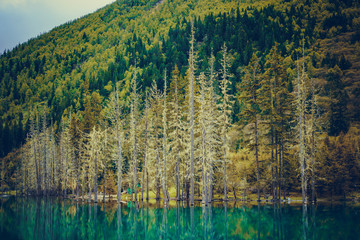 Sichuan Four Girl Mountain (Siguniang Mountain) Shuangqiaogou in Sichuan  China, beautiful scenery with rocky mountain peaks and colorful trees