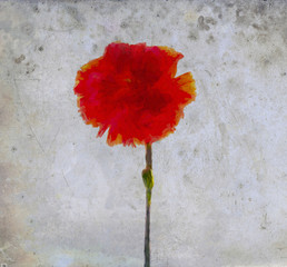 Flower on Distressed Back ground Red
