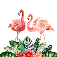 Watercolor couple of pink flamingos with flowers isolated on a white background