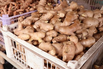 Fresh ginger at the market