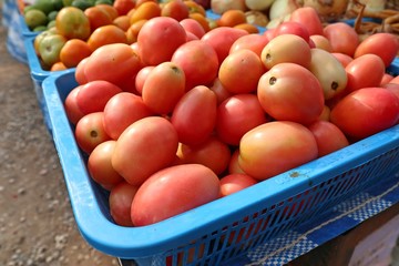 fresh tomatoes at the market