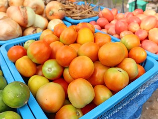 fresh tomatoes at the market