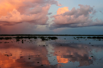 Peruvian Amazonas