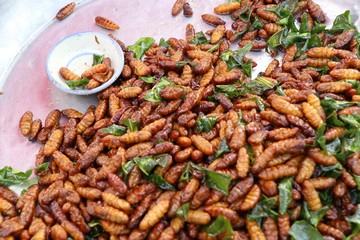 Fried insect at street food