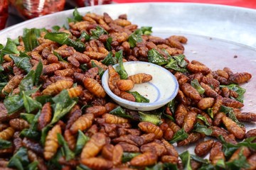 Fried insect at street food