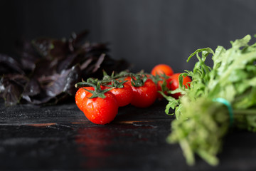 salad ingredients ripe tomatoes cherry tomatoes arugula basil