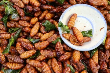 Fried insect at street food © oilslo