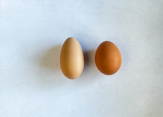 One egg is too long! Comparison between two eggs on white paper, one egg is much longer