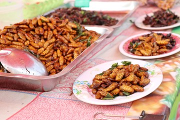 Fried insect at street food