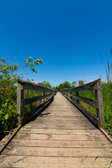 Obraz premium Wooden walkway