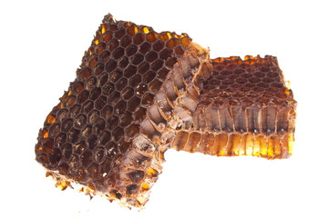 honeycomb isolated on white background