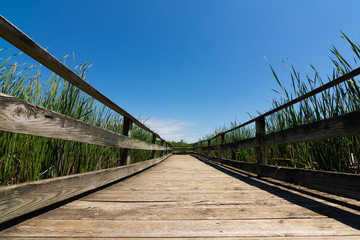 Fototapeta premium Wooden walkway