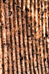 Metal background with bullet holes.