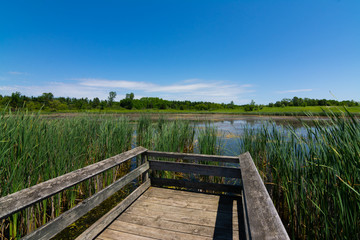 Obraz premium Wooden walkway