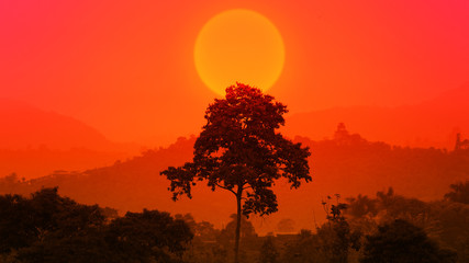 Beautiful African sunset with a big tree. Silhouette of big tree over big setting sun. forest sun set. epic nature background. ecology concept.