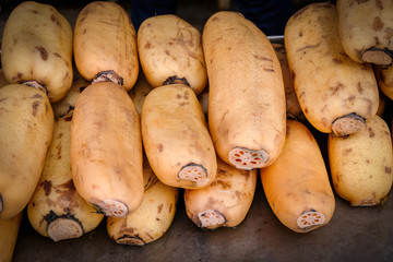 lotus roots vegetable