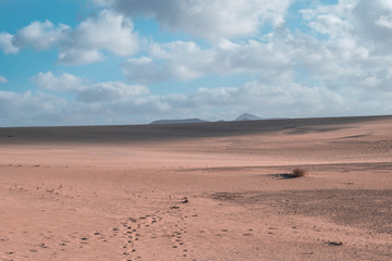 desert in Fuerteventura 