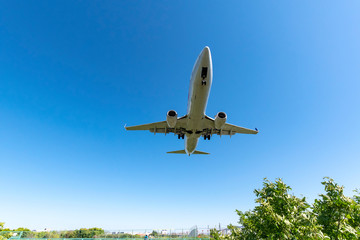 Fototapeta premium 飛行機 着陸