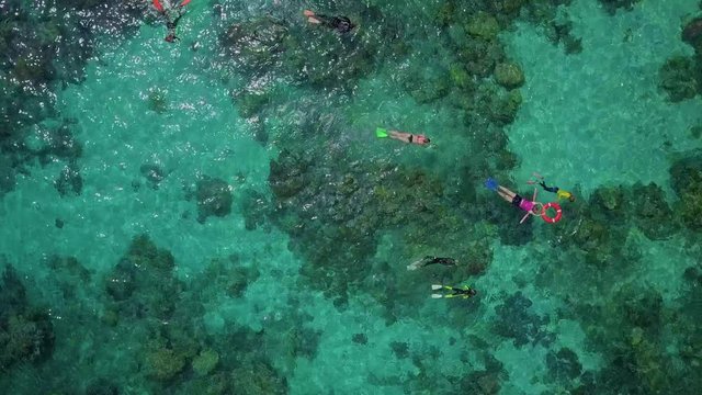 Aerial: People Snorkeling in Bright Blue Ocean Over Amazing Coral Reef, Great Barrier Reef, Australia