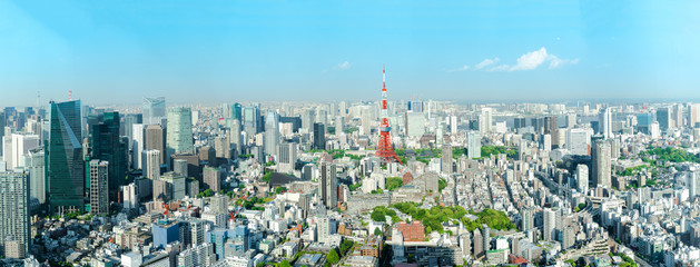 The most beautiful Viewpoint Tokyo tower in tokyo city ,japan.( panarama)