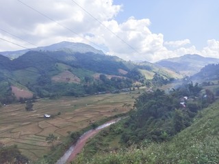 Obraz premium Rice terraces on the mountains