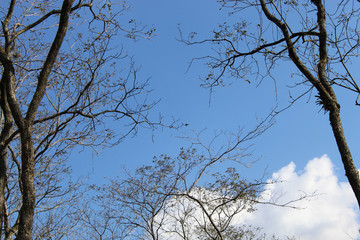 The sky is so beautiful